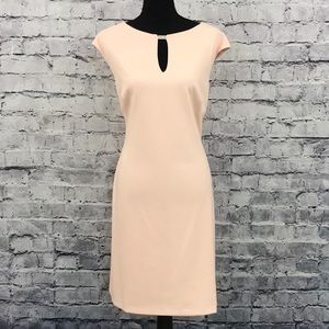 Ralph Lauren Pink Dress (670)